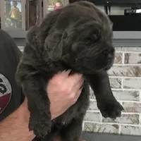 processed/5d49f158-719c-4b46-b4d6-57711bb8e847/facility/4f27d853-de69-4fcd-ae77-8f58b00a34fd