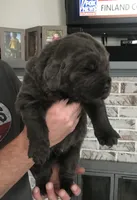 processed/5d49f158-719c-4b46-b4d6-57711bb8e847/facility/4f27d853-de69-4fcd-ae77-8f58b00a34fd