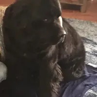 processed/5d49f158-719c-4b46-b4d6-57711bb8e847/facility/cdb0b659-e86b-4292-9b65-86337aefced9