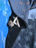 processed/5d5774d5-9757-43cb-9913-e937a5ce8b05/listing/52664cba-7bdf-42ec-9e45-da2add2d3d13/529d0114-16e2-495d-9db4-a6d69f850077