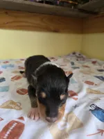 processed/5d5774d5-9757-43cb-9913-e937a5ce8b05/listing/52664cba-7bdf-42ec-9e45-da2add2d3d13/82ba5967-bf15-4ee4-ae52-5b9a20a51586