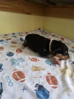 processed/5d5774d5-9757-43cb-9913-e937a5ce8b05/listing/52664cba-7bdf-42ec-9e45-da2add2d3d13/c7ca1e91-1e67-49e7-9f40-8266abd09495