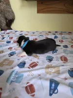 processed/5d5774d5-9757-43cb-9913-e937a5ce8b05/listing/89a79ac3-e9c9-4010-9b69-e33ecc3a4584/c8b9cba9-f401-4165-a272-86a55447b9b0