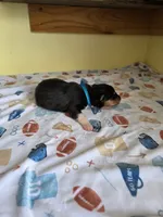 processed/5d5774d5-9757-43cb-9913-e937a5ce8b05/listing/89a79ac3-e9c9-4010-9b69-e33ecc3a4584/e62ea34f-694b-41de-b9d6-2316adefc26c