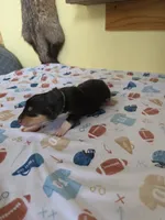 processed/5d5774d5-9757-43cb-9913-e937a5ce8b05/listing/d1443e54-2e1f-4c93-906e-cf3c5508e925/65d871f4-ceba-4f7b-bab9-4dc088fe8cc7