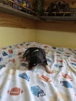 processed/5d5774d5-9757-43cb-9913-e937a5ce8b05/listing/d1443e54-2e1f-4c93-906e-cf3c5508e925/c8b02831-c464-4fd4-be63-250f121bda6d