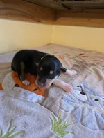 processed/5d5774d5-9757-43cb-9913-e937a5ce8b05/listing/d18563fd-9694-4fcf-8f65-0eb3ae83769e/c4214dfe-ae3b-4d77-8298-7f4356670a7a