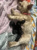 Facility photo