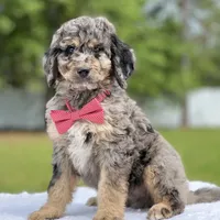 processed/5d66b5eb-7862-4162-a3f7-aeaf353066fd/facility/07f7641f-c269-45bc-936b-d92ccc6c7ae5