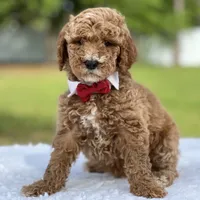 processed/5d66b5eb-7862-4162-a3f7-aeaf353066fd/facility/172f6950-7292-4edb-acf5-f5c64e6302c7