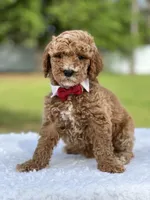 processed/5d66b5eb-7862-4162-a3f7-aeaf353066fd/facility/172f6950-7292-4edb-acf5-f5c64e6302c7