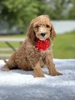 processed/5d66b5eb-7862-4162-a3f7-aeaf353066fd/facility/443a1f36-d459-4fb2-8f79-a014ed0e3998