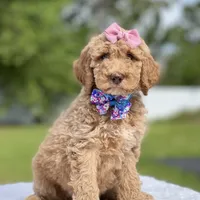 processed/5d66b5eb-7862-4162-a3f7-aeaf353066fd/facility/96fed651-d0f1-400c-a8ab-38547080e73f