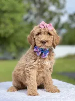 processed/5d66b5eb-7862-4162-a3f7-aeaf353066fd/facility/96fed651-d0f1-400c-a8ab-38547080e73f