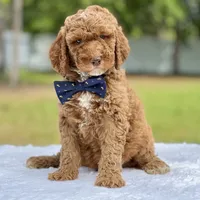 processed/5d66b5eb-7862-4162-a3f7-aeaf353066fd/facility/afaa4e55-a099-4b2f-a208-a3da1c01bedd