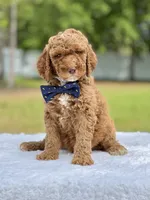 processed/5d66b5eb-7862-4162-a3f7-aeaf353066fd/facility/afaa4e55-a099-4b2f-a208-a3da1c01bedd