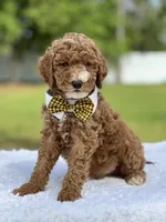 processed/5d66b5eb-7862-4162-a3f7-aeaf353066fd/facility/d1b26249-e41b-4722-880a-5316a77dfe34