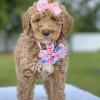 processed/5d66b5eb-7862-4162-a3f7-aeaf353066fd/facility/e66a1342-f8a1-4078-ada1-19d81bf13fba