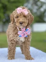 processed/5d66b5eb-7862-4162-a3f7-aeaf353066fd/facility/e66a1342-f8a1-4078-ada1-19d81bf13fba