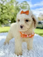 processed/5d66b5eb-7862-4162-a3f7-aeaf353066fd/listing/04f34749-8962-4e26-93a8-0efb489ac3a5/594abf84-a674-4e0d-ba88-eca9b88fd484