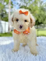 processed/5d66b5eb-7862-4162-a3f7-aeaf353066fd/listing/04f34749-8962-4e26-93a8-0efb489ac3a5/6ec4b371-543a-4d02-9538-bf0ae8ce245c