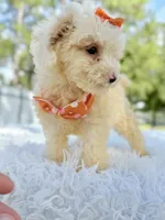 processed/5d66b5eb-7862-4162-a3f7-aeaf353066fd/listing/04f34749-8962-4e26-93a8-0efb489ac3a5/9ae5ee52-d4fb-4238-8095-bfa79bf017a5