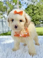 processed/5d66b5eb-7862-4162-a3f7-aeaf353066fd/listing/04f34749-8962-4e26-93a8-0efb489ac3a5/fcedc08d-99b4-4a8a-ad71-98b9a2464d62