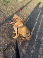 processed/5d66be9b-800d-4b50-9464-5f1c9a47413d/facility/c98bdc66-6dae-40c5-bb91-b42e58909c72