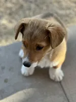 processed/5d684cd7-f44f-4d96-83fc-849cb565eb73/facility/10c4044e-e88c-4546-8a12-1936c150be9d