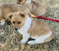 processed/5d684cd7-f44f-4d96-83fc-849cb565eb73/facility/26ee695c-04e6-44cf-989c-01fca36b7d72