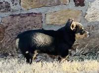 processed/5d684cd7-f44f-4d96-83fc-849cb565eb73/facility/626a6d14-c847-4a9b-ae8a-49418bd85771