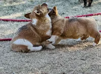 processed/5d684cd7-f44f-4d96-83fc-849cb565eb73/facility/77263263-89ad-4e2c-be31-79c3c8ce58b7