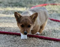 processed/5d684cd7-f44f-4d96-83fc-849cb565eb73/facility/fb76f997-3e0b-48f2-9e80-a84d7a26a425