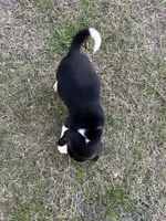 processed/5d705e9f-b951-4f72-a039-2af6ee85ae0e/listing/7e9e107f-ac3f-4b0d-8fe8-b0e00bb49eb7/063f4058-69e5-45f0-80ff-2e6027d717a7