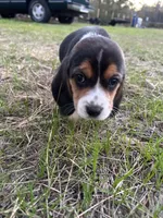 processed/5d705e9f-b951-4f72-a039-2af6ee85ae0e/listing/7e9e107f-ac3f-4b0d-8fe8-b0e00bb49eb7/1616bfa7-e2e5-4f94-b733-11128af79577