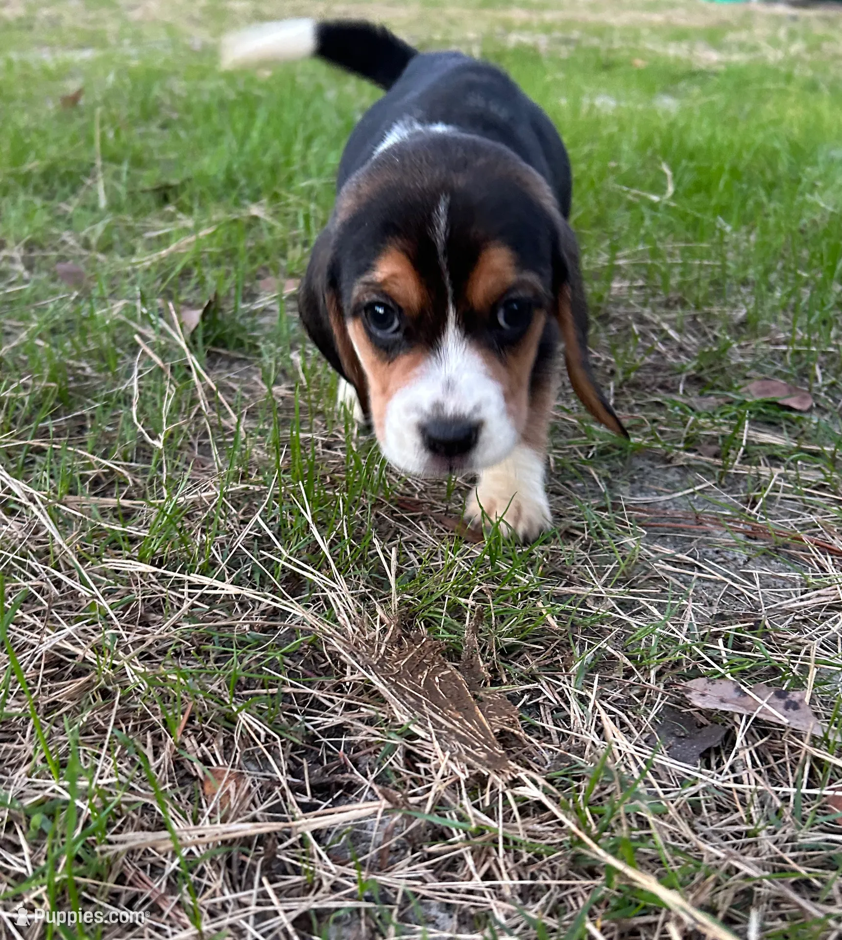 processed/5d705e9f-b951-4f72-a039-2af6ee85ae0e/listing/7e9e107f-ac3f-4b0d-8fe8-b0e00bb49eb7/cab589bc-0011-49c3-adf8-d2c79731bf17