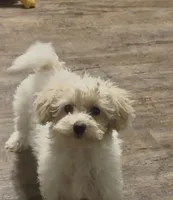 processed/5d7072ce-11fe-466d-b738-04d9342ed225/listing/de783c46-fe8d-4e31-87af-19233283da2c/5099fb30-0589-4231-93d0-bf6f0c912916