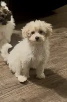 processed/5d7072ce-11fe-466d-b738-04d9342ed225/listing/de783c46-fe8d-4e31-87af-19233283da2c/68b194dd-6362-4f00-88b5-6fe9f194b336