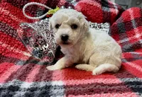 processed/5d7072ce-11fe-466d-b738-04d9342ed225/listing/fd8c134f-26a6-415d-bac4-64dd3d0a7dd1/7e44a649-6e24-4874-9119-0c102e3212f6