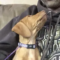 processed/5d70d978-d2c3-42bb-9991-d26e64ec3ec8/facility/3c64a56d-9823-4cb2-8137-714517878cea