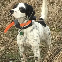 processed/5d70d978-d2c3-42bb-9991-d26e64ec3ec8/facility/4506d713-f080-4a19-8edd-0f07c5a0d0fc