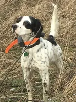 processed/5d70d978-d2c3-42bb-9991-d26e64ec3ec8/facility/4506d713-f080-4a19-8edd-0f07c5a0d0fc