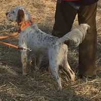 processed/5d70d978-d2c3-42bb-9991-d26e64ec3ec8/facility/803f25ca-ba73-4e13-ae19-aaa3344f19d1