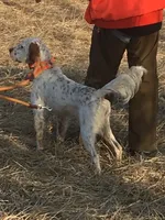 processed/5d70d978-d2c3-42bb-9991-d26e64ec3ec8/facility/803f25ca-ba73-4e13-ae19-aaa3344f19d1