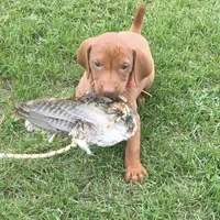 processed/5d70d978-d2c3-42bb-9991-d26e64ec3ec8/facility/f13b0a07-19fb-44c2-8f18-a12569455aaa