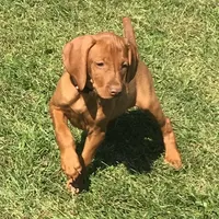 processed/5d70d978-d2c3-42bb-9991-d26e64ec3ec8/facility/fda0af92-cfef-4f8b-b357-bece5d68efee