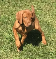 processed/5d70d978-d2c3-42bb-9991-d26e64ec3ec8/facility/fda0af92-cfef-4f8b-b357-bece5d68efee