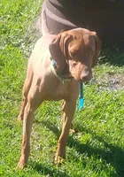 processed/5d70d978-d2c3-42bb-9991-d26e64ec3ec8/listing/01ce11db-674e-4648-a251-451566722103/3f4e8bf8-34d7-4a01-8775-15c2cd77e334