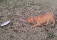 processed/5d70d978-d2c3-42bb-9991-d26e64ec3ec8/listing/dee386e0-dbf7-47a7-a9d1-a3e844106110/212deca7-a37a-4721-83a5-5c123caec528