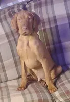 processed/5d70d978-d2c3-42bb-9991-d26e64ec3ec8/listing/dee386e0-dbf7-47a7-a9d1-a3e844106110/23838bd8-75a5-4f78-a0bd-bb7f3a0ebccc